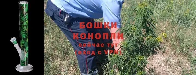 Конопля Ganja  где можно купить   Артёмовск 